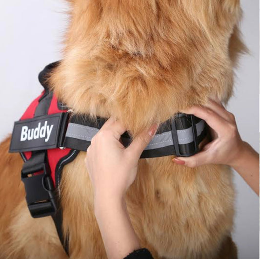 Personalized Dog Harness ™