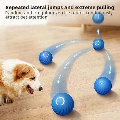 SmartBounce Dog Ball ™